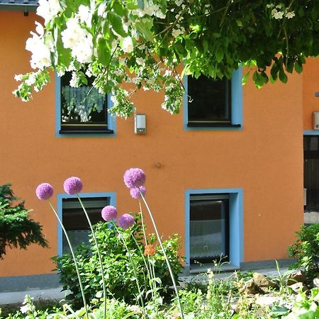 Ferienwohnung Zur Muehle Sotzweiler 外观 照片