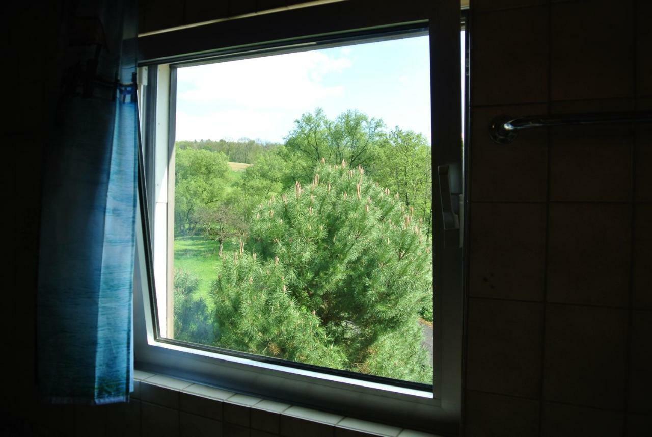 Ferienwohnung Zur Muehle Sotzweiler 外观 照片