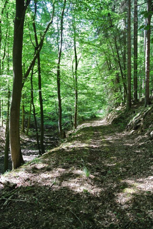 Ferienwohnung Zur Muehle Sotzweiler 外观 照片