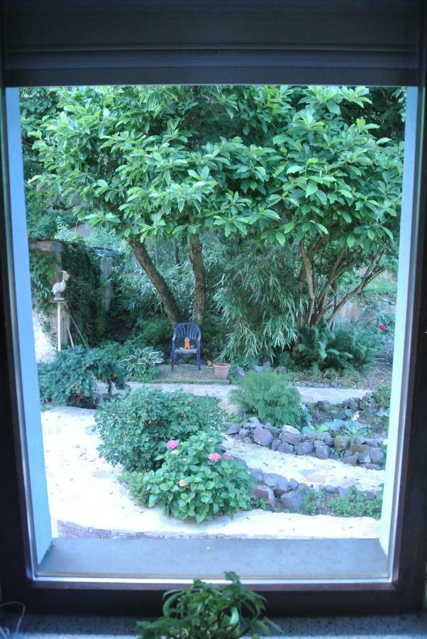 Ferienwohnung Zur Muehle Sotzweiler 外观 照片